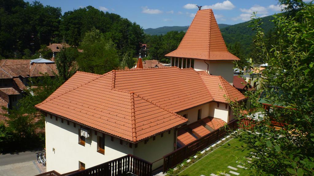 Vila Silvia Sovata Exterior photo